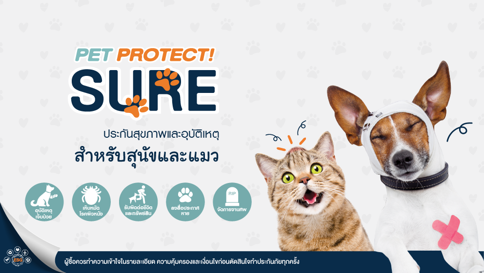 ประกันสัตว์เลี้ยง PET Protect Sure | ฟอลคอนประกันภัย
